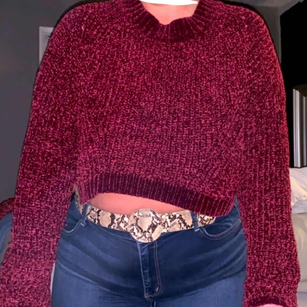 Rue21 Cropped Sweater ✨